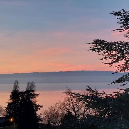 Le Mirabeau Vue Lac Évian-les-Bains Extérieur photo