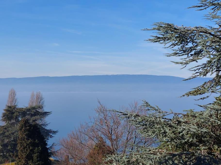 Le Mirabeau Vue Lac Évian-les-Bains Extérieur photo