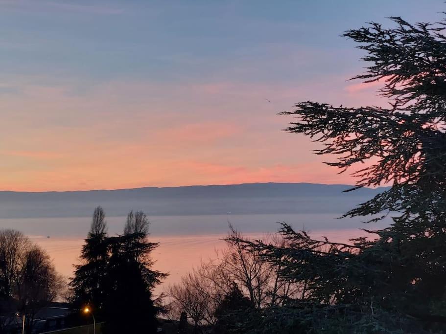 Le Mirabeau Vue Lac Évian-les-Bains Extérieur photo