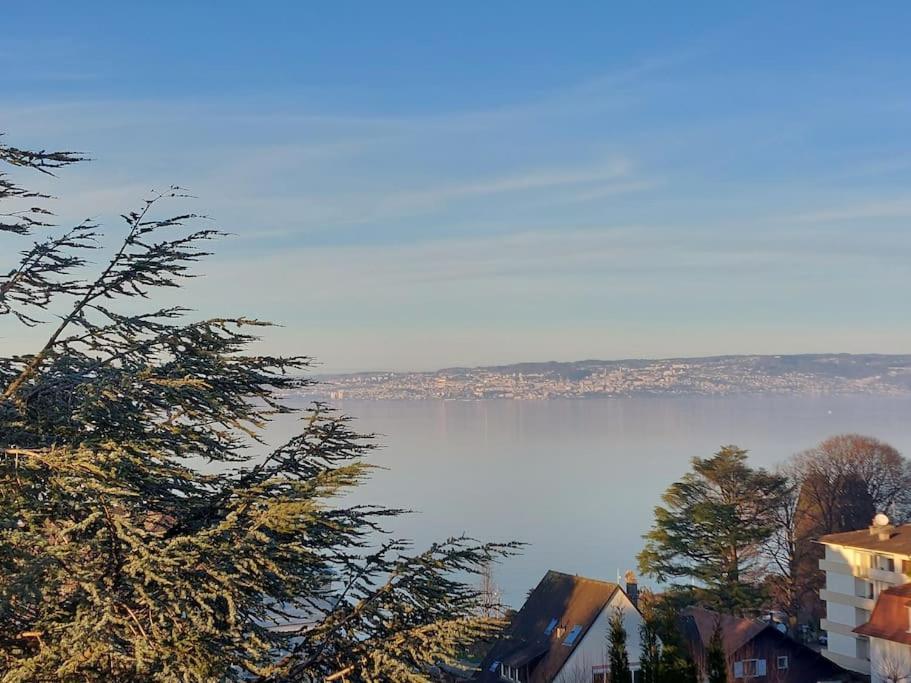 Le Mirabeau Vue Lac Évian-les-Bains Extérieur photo